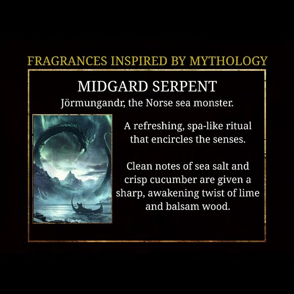 NEW! Unisex Shampoo & Shaving Bar. Ocean, Cucumber, & Lime scent. - Picture 3 of 7